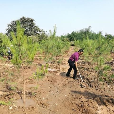 保卫萝卜4第29关攻略图解