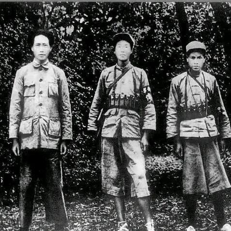 保卫萝卜4第20关攻略通关秘籍