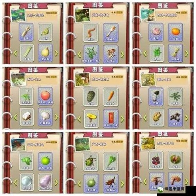 夺笋高手人形何首乌获取途径揭秘