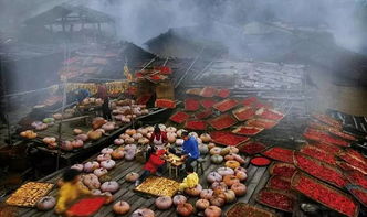 夺笋高手婺源茗眉：揭秘无价之宝获取攻略