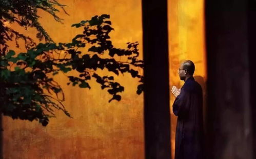 深空之眼墓园第六个箱子位置攻略