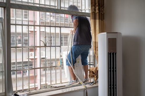 落樱小屋2昼夜调节攻略