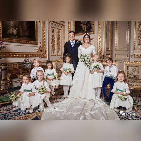 纯白和弦苏格兰玩法攻略，培养技巧揭秘