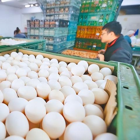 茶叶蛋大冒险镜中世界32关攻略