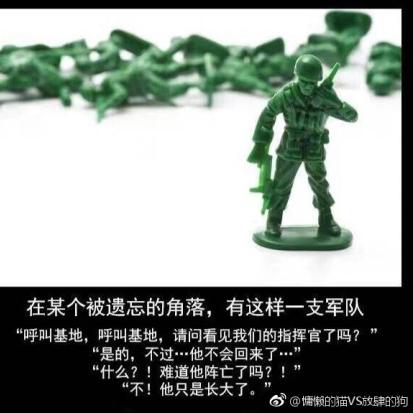 《兵人大战》新手必看：军官指挥玩法深度解析