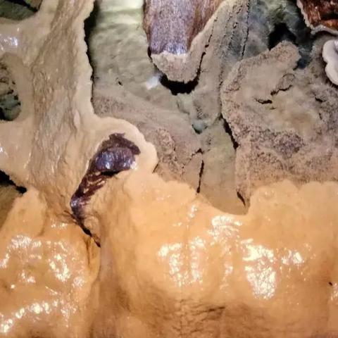 少年奇遇蝙蝠女王BOSS战攻略