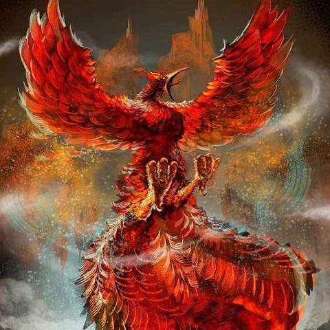 织田信长阵容搭配秘籍攻略