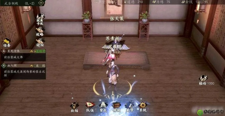 江湖太极拳任务通关秘籍