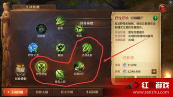 圣境之塔巡林客技能搭配攻略