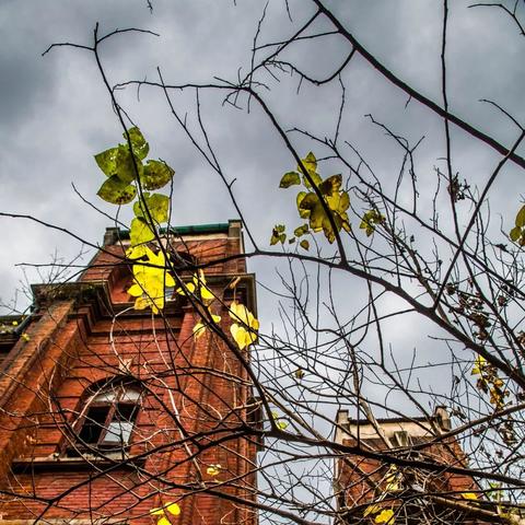 诺亚之心炼狱红砖堡垒攻略，副本通关秘籍