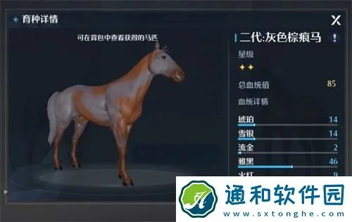 诺亚之心马匹血统鉴定技巧攻略