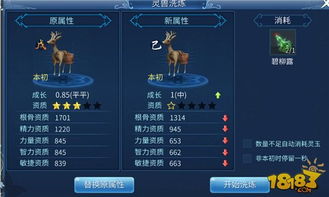 斗诡灵兽养成秘籍：灵兽培养攻略