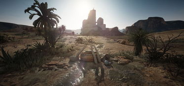 黑色沙漠巨花位置攻略