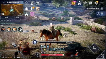 黑色沙漠手游鹰之痕迹位置攻略