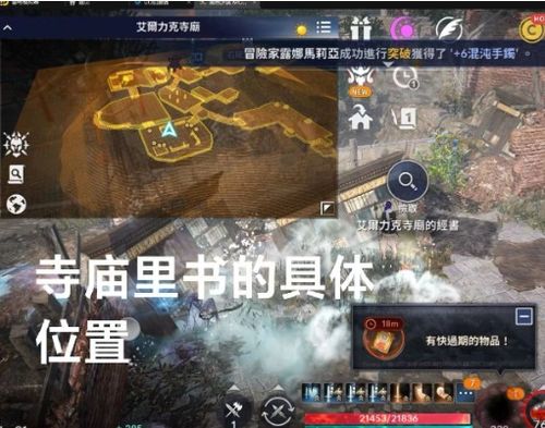 黑色沙漠手游背石蟹任务攻略