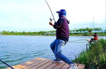 家店钓鱼秘籍：钓鱼技巧攻略全解析