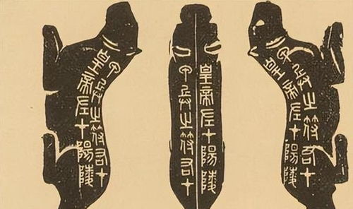 华夏行军虎符使用攻略：政策用法详解