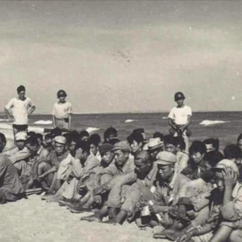 幻塔环海轮刃最强武器意志搭配推荐