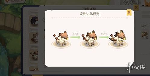 奥比岛手游宠物养成攻略，养成系统详解