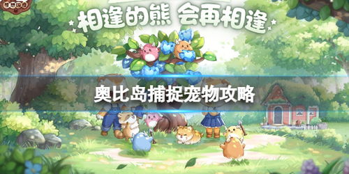 奥比岛手游宠物捕捉技巧攻略