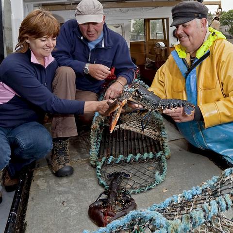 地下城割草之旅攻略：获取方法速查