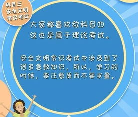 驾考通关秘籍：完美通过攻略全解析
