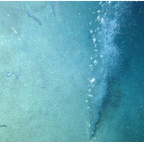 光遇潜海季任务五攻略：高效完成技巧