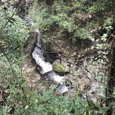 《九州世界》美人系统：功成万骨，畅游仙境