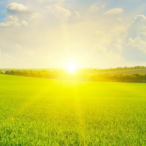 哈利波特觉醒月痴兽获取攻略