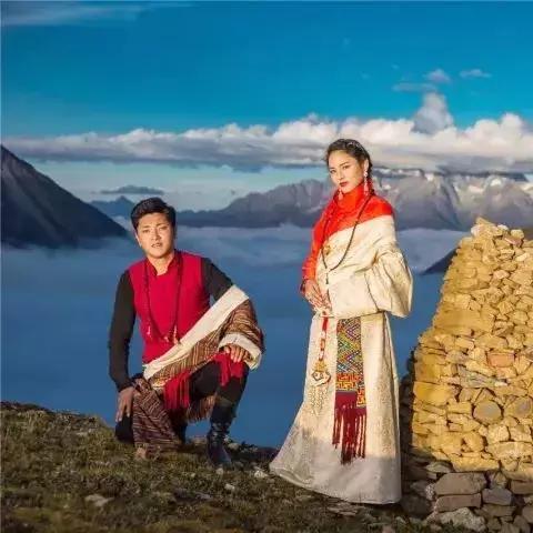 纯白和弦平民阵容搭配秘籍：最强阵容构建攻略