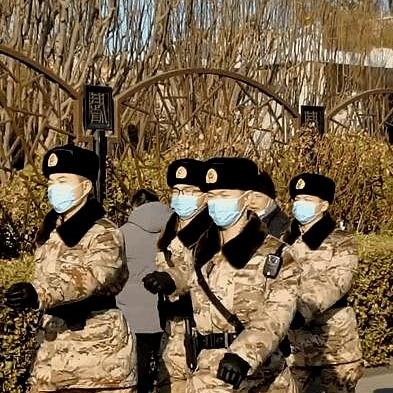 悠久之树暗队玩法攻略