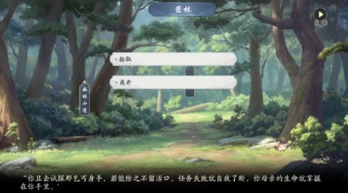 武林闲侠成都城攻略：高效任务玩法分享