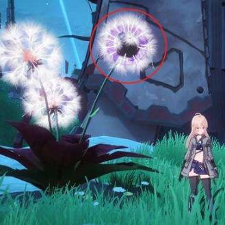 幻塔火油花位置及采集技巧