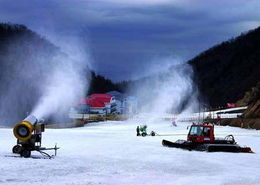 金铲铲之战滑雪乐园价格及道具售价