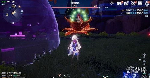 幻塔沉睡花姬掉落物品盘点