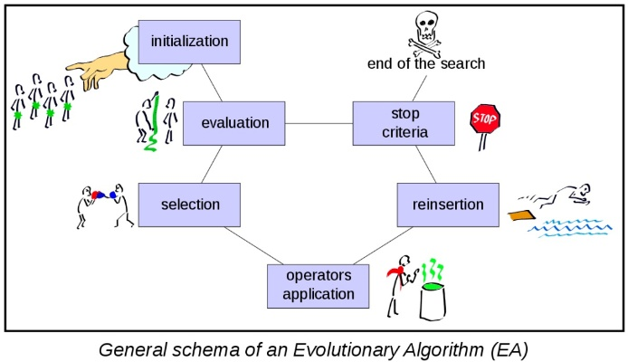 非生物因素更新：核心语义优化修复