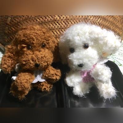 小森生活揭秘：狗狗岛畅玩攻略