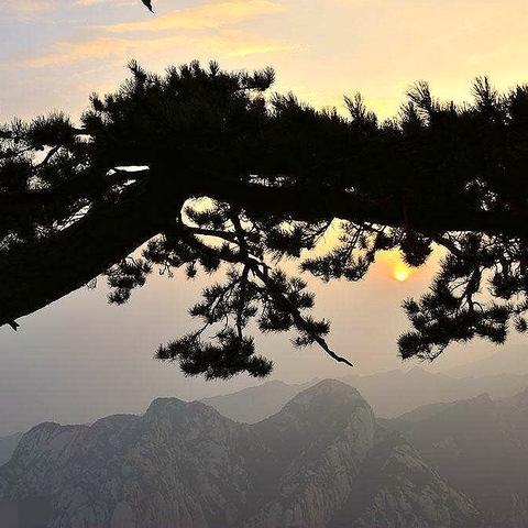 天空之息礼包领取兑换码地址