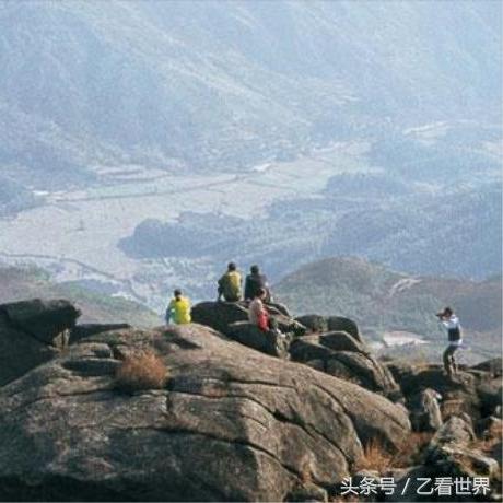 《古树快速升级技巧：等级飙升秘籍》