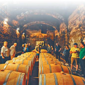 悠久之树工坊游戏攻略