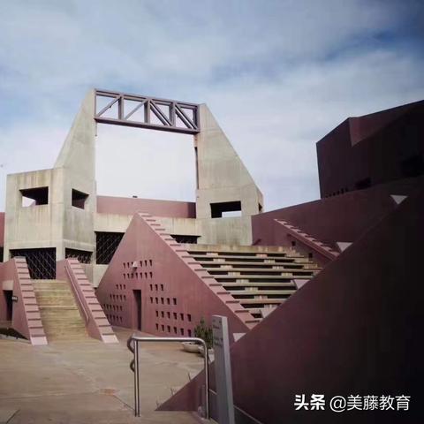 悠久之树种族大全，全种族介绍