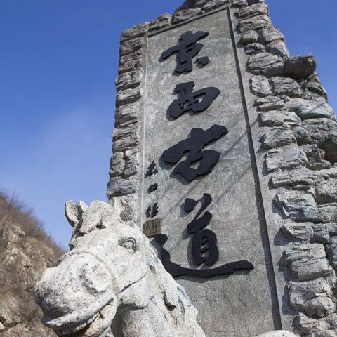 悠久之树角色实力盘点：角色强度榜