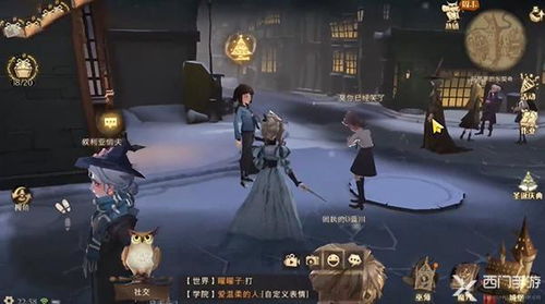 哈利波特魔法觉醒怪诞之夜第四天玩法攻略