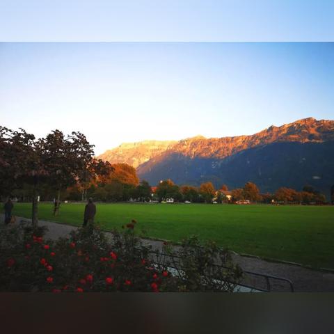 光遇飞翔季向导位置揭秘