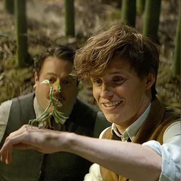 哈利波特魔法觉醒护树罗锅功效揭秘 哈利波特魔法觉醒护树罗锅功效揭秘