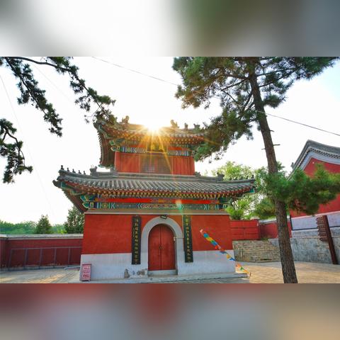 光遇啾啾头获取攻略一览