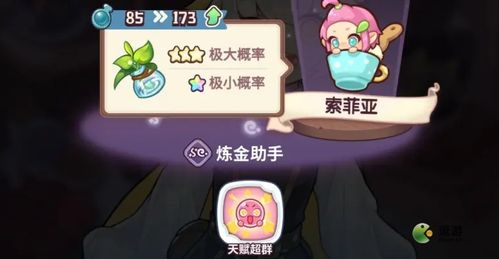 诺弗兰物语血字石板配方攻略