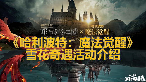 哈利波特魔法觉醒嗅嗅使用攻略