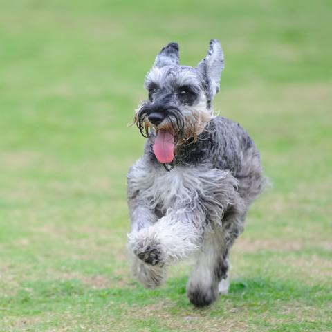 哈利波特觉醒礼堂门口人潮涌动NPC位置