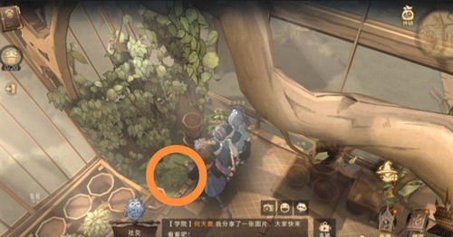 米布米宝位置揭秘：哈利波特魔法觉醒核心地点